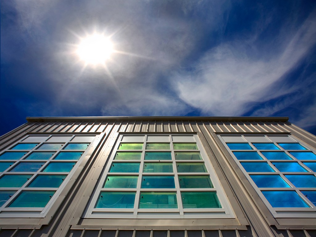 energy-efficient home windows