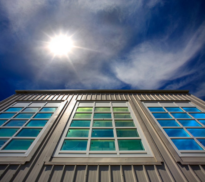 energy-efficient home windows